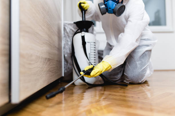 Best Termite Control Services  in West Sand Lake, NY
