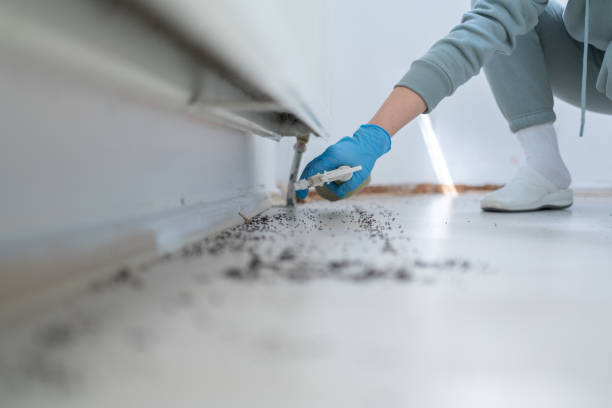 Best Best Pest Control Companies  in West Sand Lake, NY